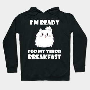 I'm ready for my 3rd breakfast, cat lover gift idea Hoodie